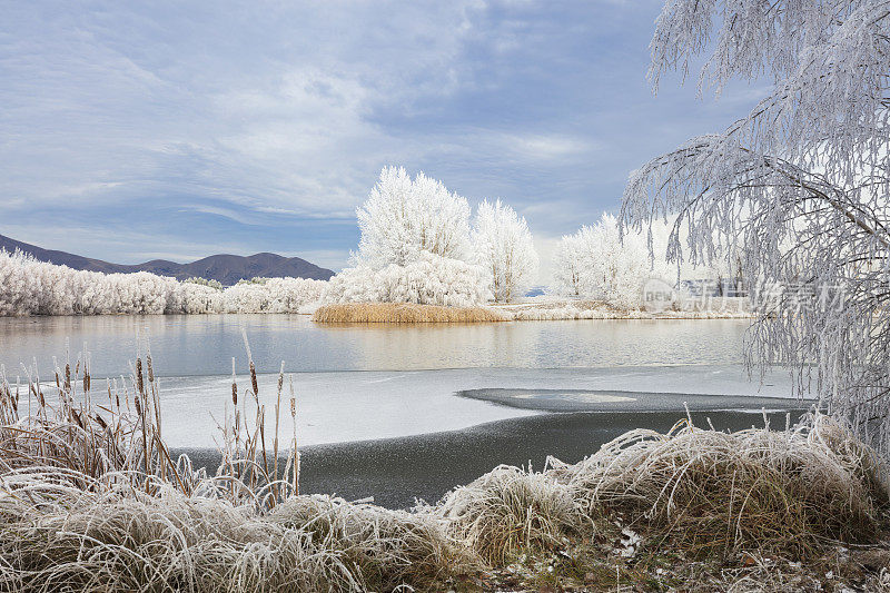 Hoar Frost, Twizel，新西兰